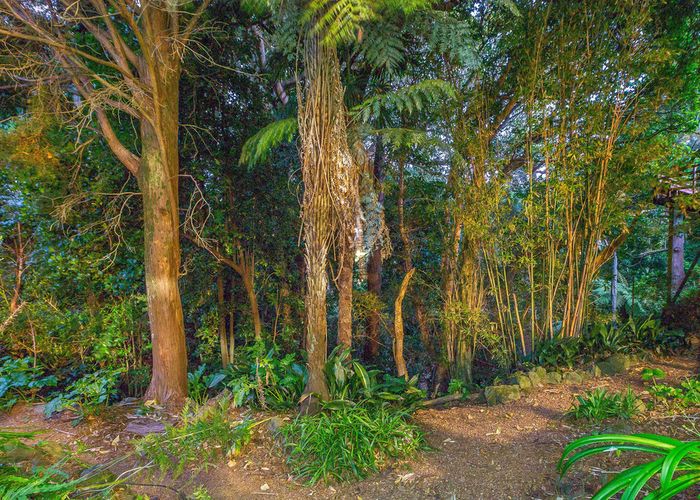 at 54 Mountain Road, Epsom, Auckland