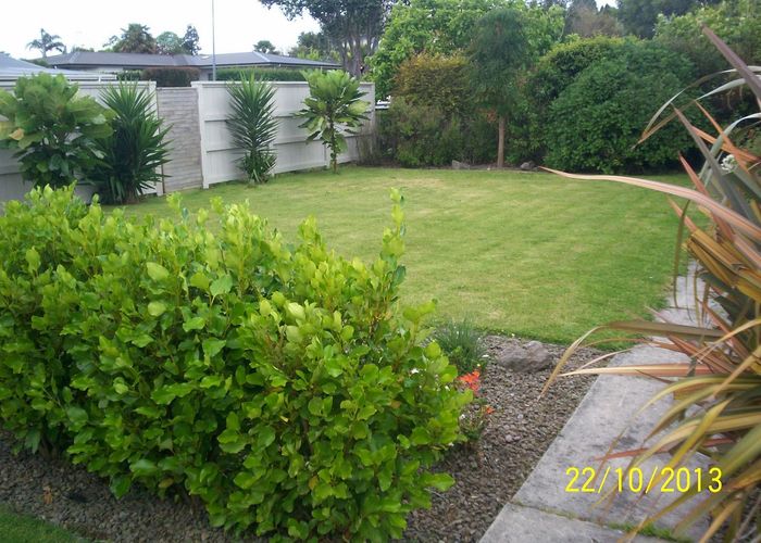  at 9 Roderick Street, Otumoetai, Tauranga, Bay Of Plenty
