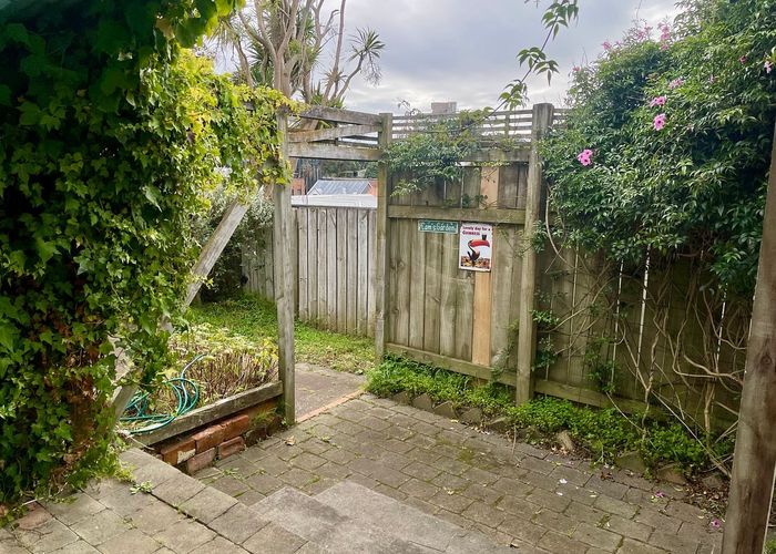  at 234 Adelaide Road, Newtown, Wellington