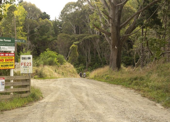  at 0 Bute Rd, Mangapakeha, Masterton