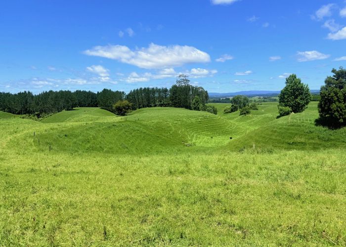  at Lot 6, 1409 Rangiuru Road, Te Puke, Western Bay Of Plenty, Bay Of Plenty