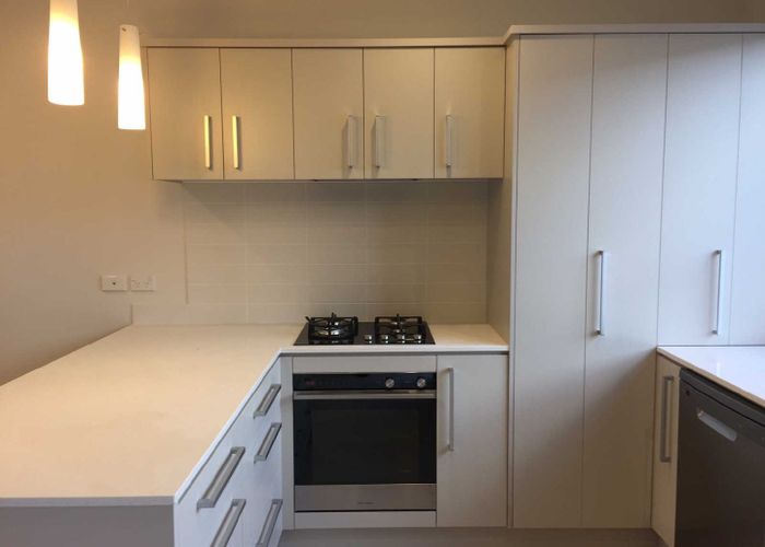  at 41 Pencaitland Drive, Flat Bush, Auckland