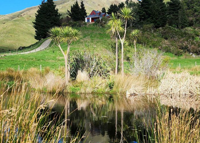  at 503 Parkville Road, Eketahuna, Eketahuna