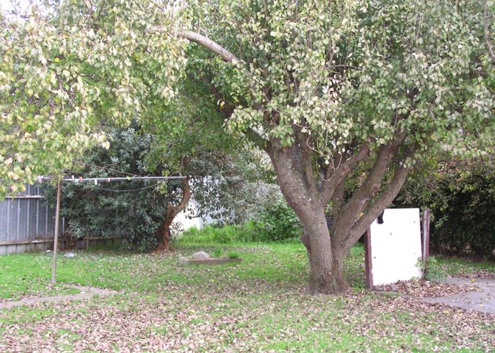  at 29 Ellesmere Crescent, Highbury, Palmerston North