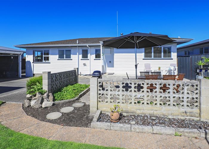  at 20 Southwark Avenue, Tamatea, Napier
