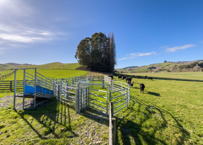  at Millars Road, Gladstone, South Wairarapa, Wellington