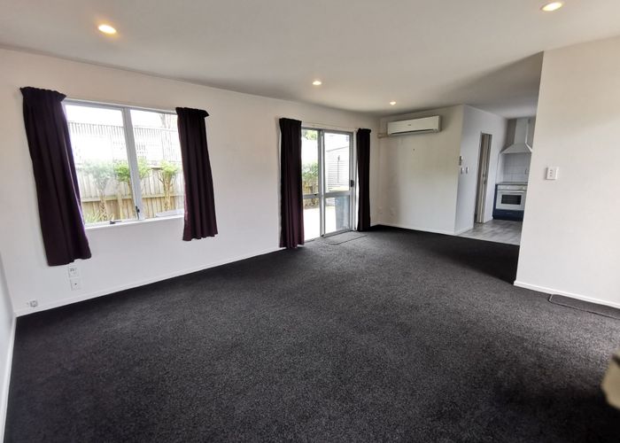  at 3/9 Domett Street, Waltham, Christchurch City, Canterbury