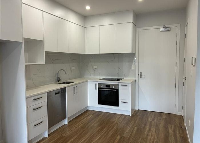  at 213/98 Haverstock Road, Sandringham, Auckland City, Auckland