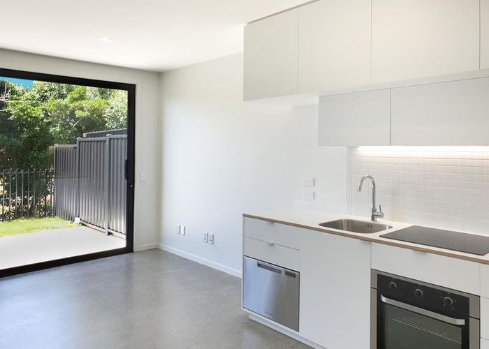  at 41 Te Ara o Paetutu, Petone, Lower Hutt, Wellington