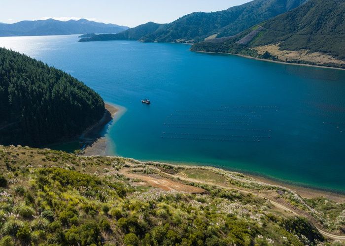  at 815 Manaroa Road, Marlborough Sounds, Marlborough, Marlborough