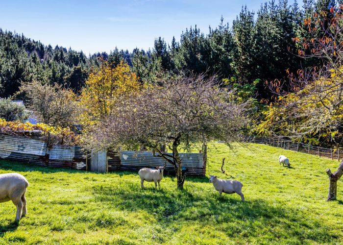  at 749 Motukawa Road, Inglewood