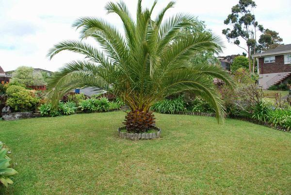  at Darlington Pl, Glendene, Waitakere City, Auckland