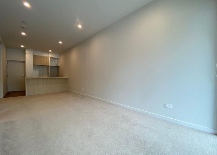  at 316/14 Edgerley Avenue, Epsom, Auckland City, Auckland