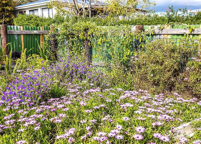  at 16 Marama Avenue, Surfdale, Waiheke Island