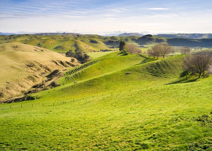  at 501 Kawera Road, Okawa, Hastings