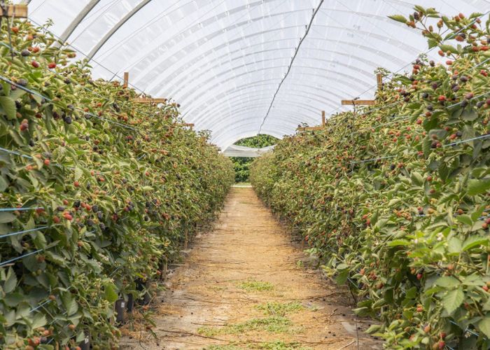  at Thurley Place, Bay View, Napier, Hawke's Bay