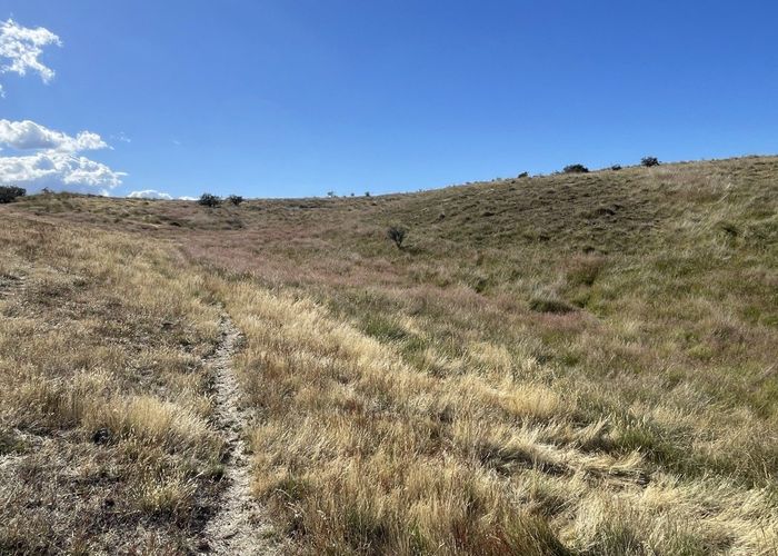  at Lot 1 McIntosh Road, Ophir, Central Otago, Otago