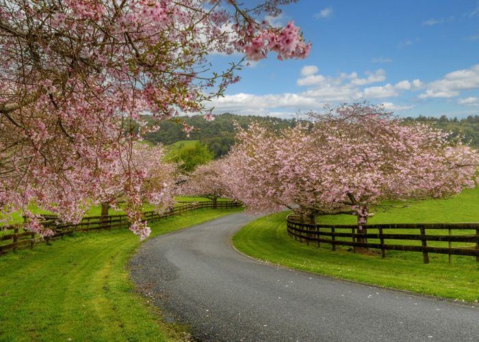  at 698D Whakamarama Road, Tauranga