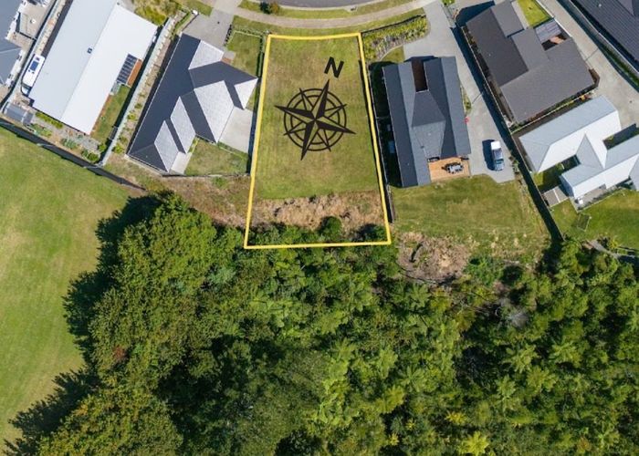  at 217 Te Ranga Memorial Drive, Pyes Pa, Western Bay Of Plenty, Bay Of Plenty