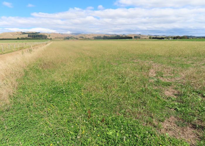  at 399 Cowper Road, Dannevirke, Tararua, Manawatu / Whanganui