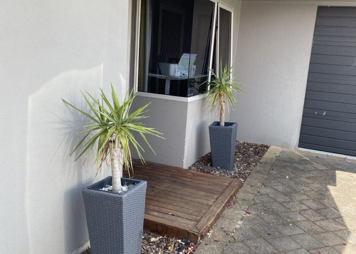  at 19 Lamia Grove, Papamoa, Tauranga, Bay Of Plenty