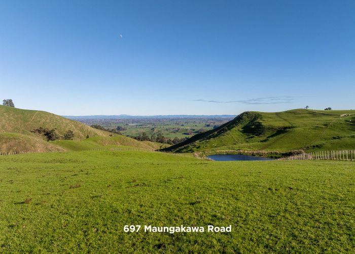  at 697 and 699 Maungakawa Road, Cambridge, Waipa, Waikato