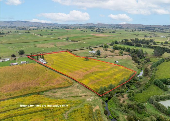  at 395 Kiwitahi Railway Road, Morrinsville, Morrinsville