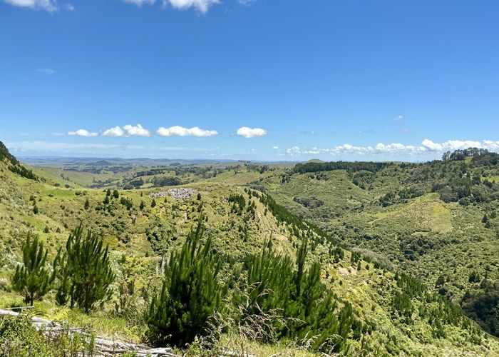  at 103 Dill Road, Kaipara Flats, Rodney, Auckland