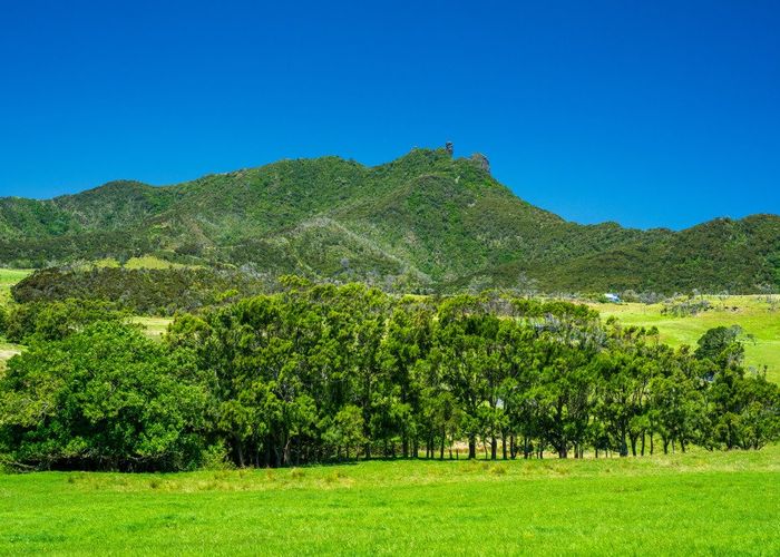  at Lot 1 Basil Road, Whangarei Heads, Whangarei, Northland