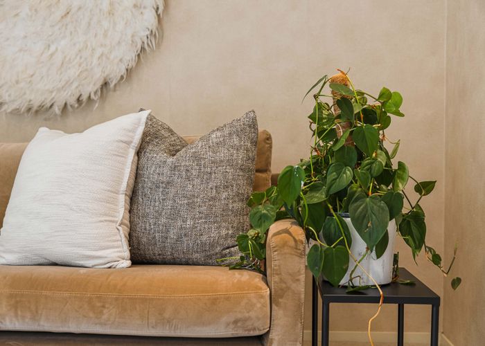  at 20 Villanova Place, Albany, North Shore City, Auckland