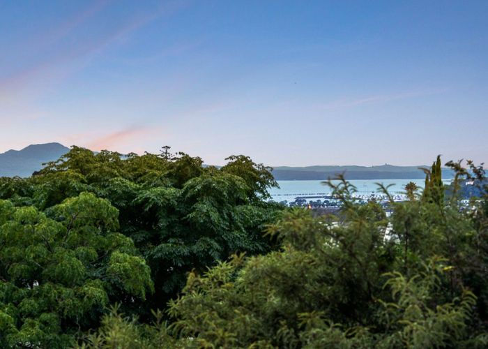  at 203/8 Middleton Road, Remuera, Auckland City, Auckland