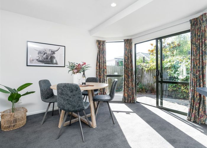  at 56 Vernon Terrace, St. Martins, Christchurch City, Canterbury
