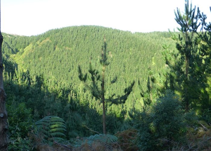  at 0 Ridge Road, Mangamutu, Pahiatua