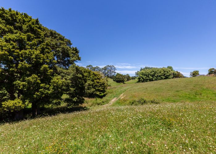  at 0 Hoban Road, Whareora, Whareora