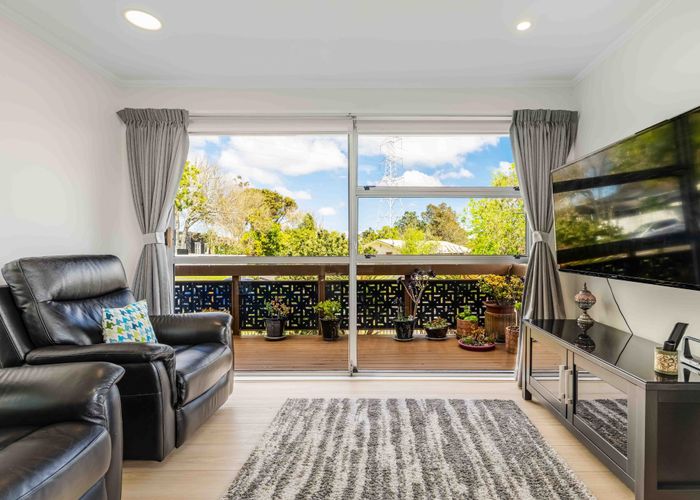  at 217 Halsey Drive, Lynfield, Auckland City, Auckland