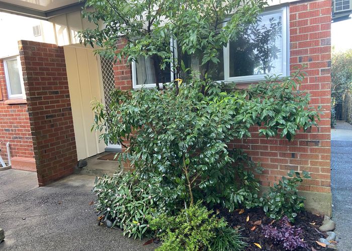  at 26 Savannah Street, Epsom, Auckland