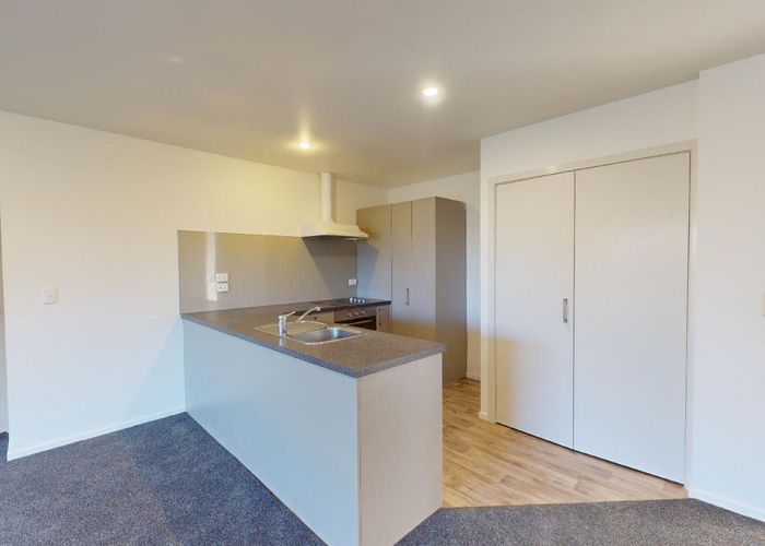  at 317 Tancred Street, Hampstead, Ashburton