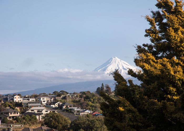  at 99 Awanui Street, Merrilands, New Plymouth