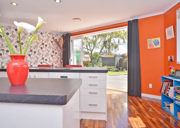  at 9 Patea Place, Terrace End, Palmerston North