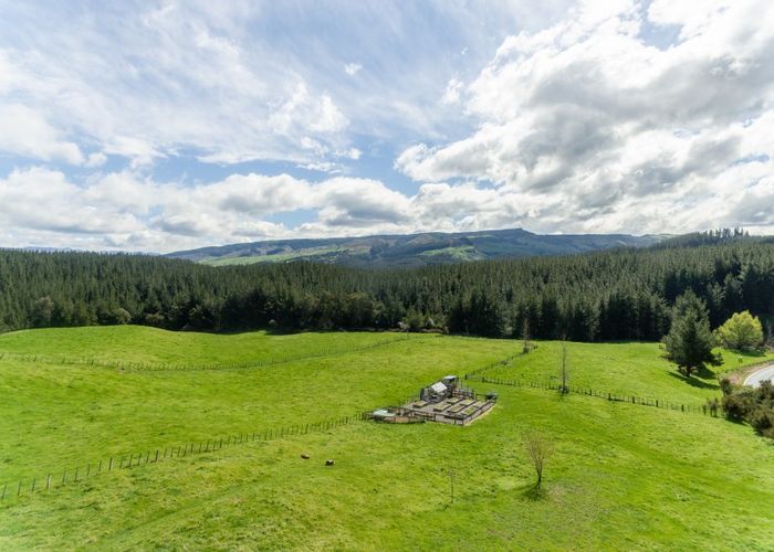  at 2 Palmer Road, Napier