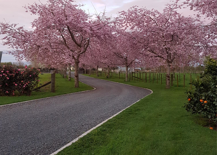  at 369B Marshmeadow Road, Newstead, Hamilton