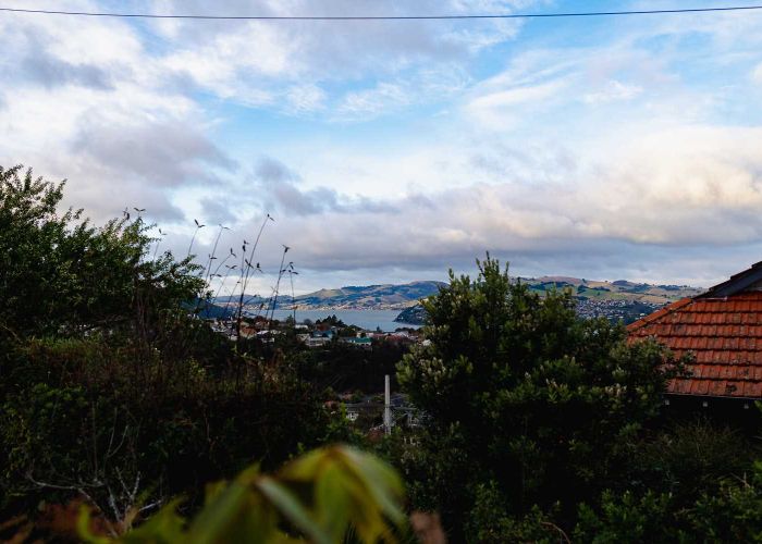  at 21 Crosby Street, Mornington, Dunedin