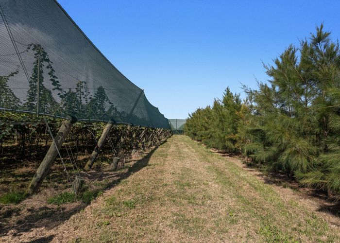  at 278 Paroa Road, Whakatane, Whakatane, Bay Of Plenty