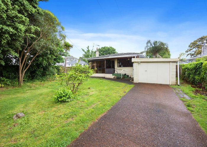  at 14 Lorraine Avenue, Mount Albert, Auckland City, Auckland