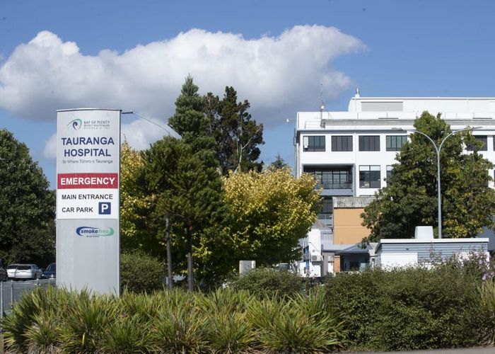  at 3C Twentythird Avenue, Gate Pa, Tauranga, Bay Of Plenty