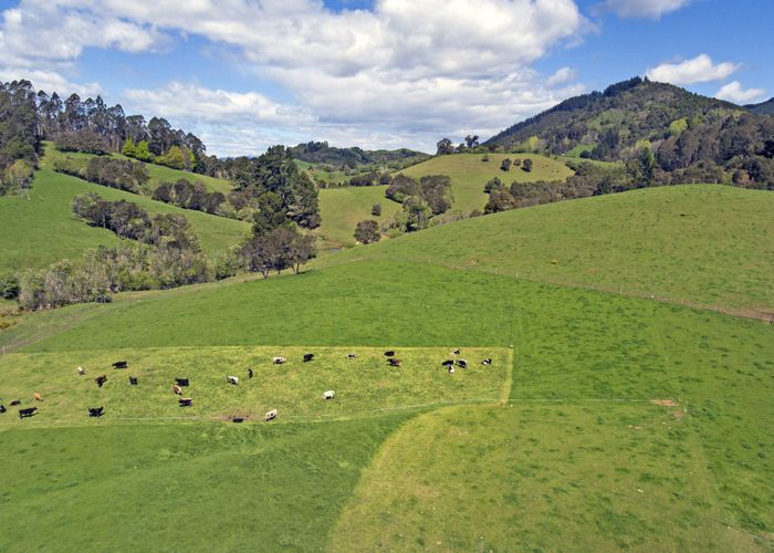 For sale 1311 Motueka Valley Highway, Ngatimoti, Tasman, Nelson / Tasman homes.co.nz