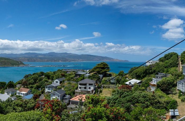  at 49 Hungerford Road, Lyall Bay, Wellington, Wellington