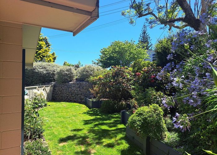  at 46 Brookfield Terrace, Brookfield, Tauranga, Bay Of Plenty