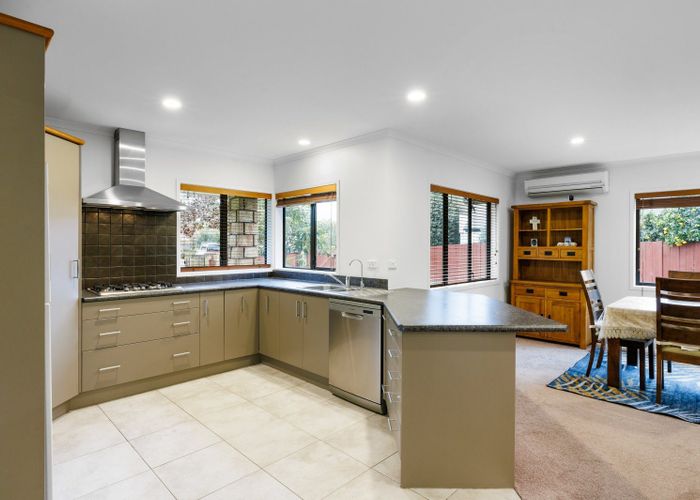 at 12 Stoneleigh Drive, Chartwell, Hamilton