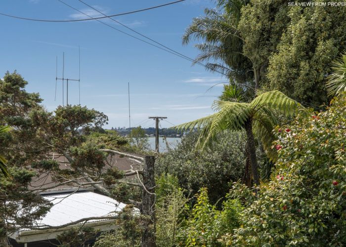  at 464 Fraser Street, Parkvale, Tauranga